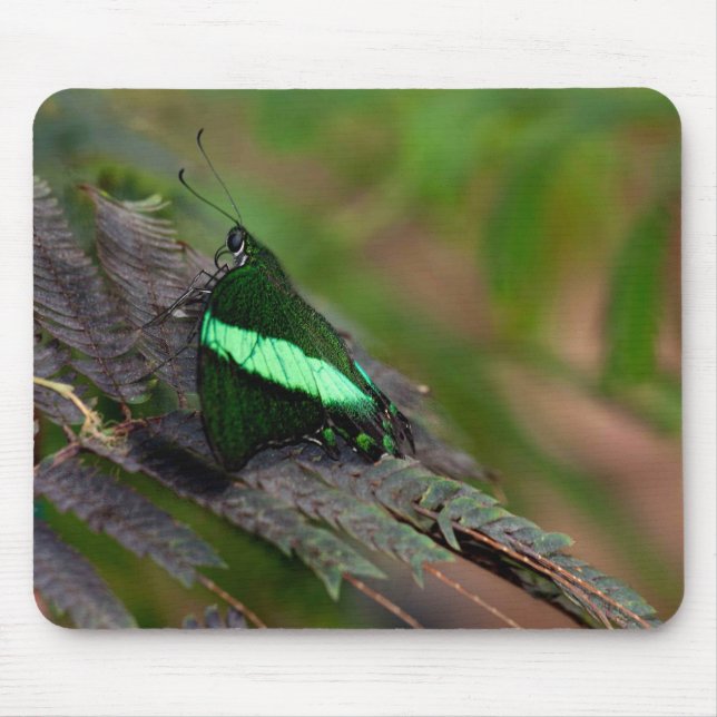 Emerald Swallowtail Mouse Pad (Front)