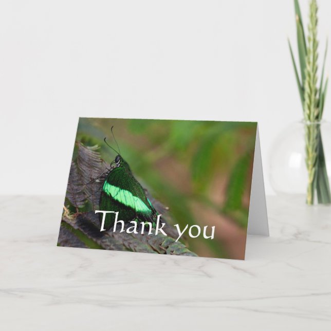 Emerald Swallowtail thank you Card (Front)