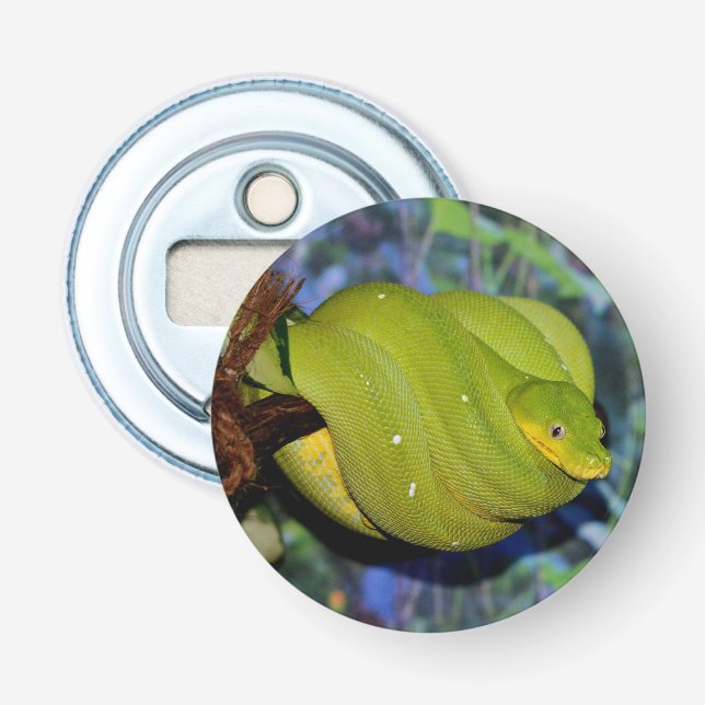 Emerald Tree Boa Snake Bottle Opener (Front)