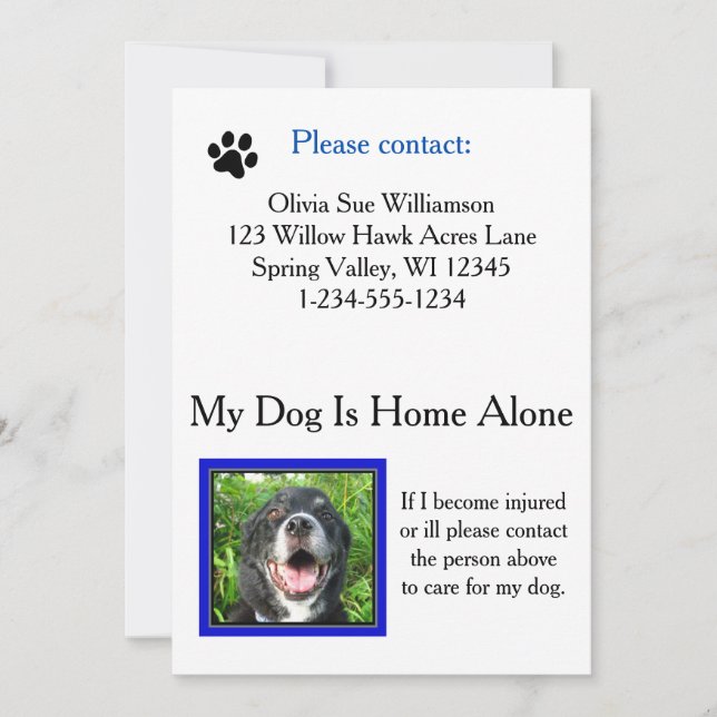 Emergency Pet (Dog) Care Wallet Card (Front)