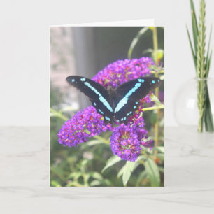 Emerging Butterfly Sister Birthday Card