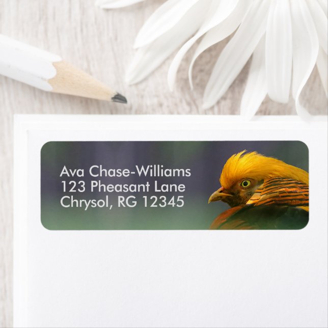 Emerging from the Green: Golden Pheasant (Insitu)