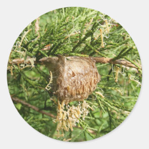 Emerging Mantis ~ sticker