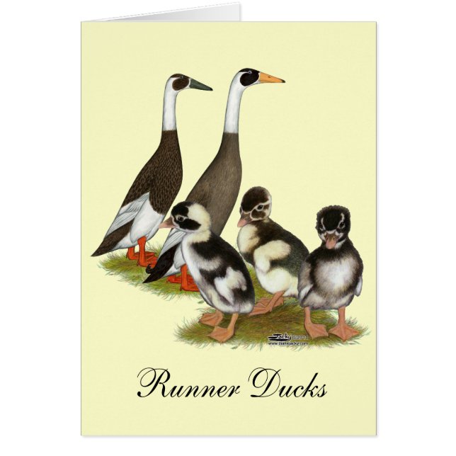 Emery Penciled Runner Duck Family (Front)