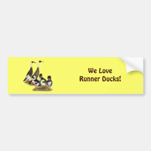 Emery Penciled Runner Duck Family Bumper Sticker