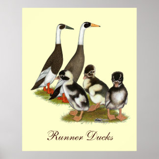 Emery Penciled Runner Duck Family Poster