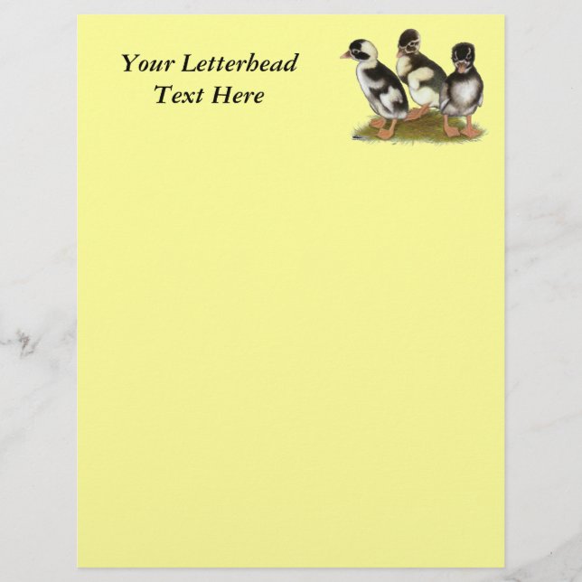 Emery Penciled Runner Ducklings (Front)