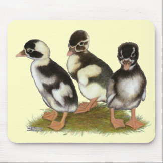 Emery Penciled Runner Ducklings Mouse Pad