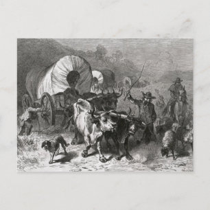 Emigration to the Western Country Postcard