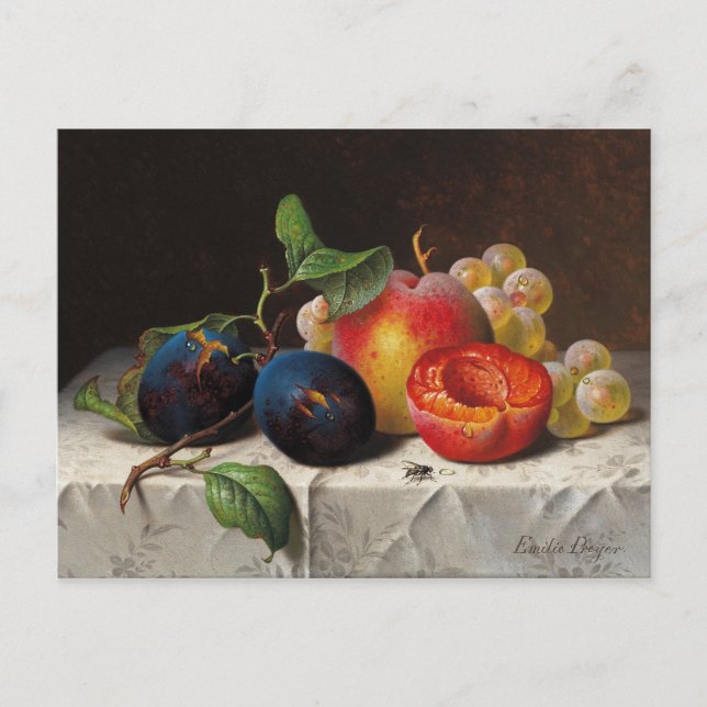 Emilie Preyer: Fruits and Fly Postcard (Front)