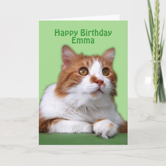 Emma Happy Birthday Orange and White Cat Card (Front)