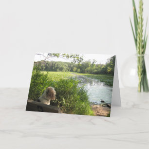 Emma Reflecting Card