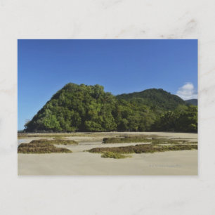 Emmagen Beach, Daintree National Park (UNESCO 2 Postcard
