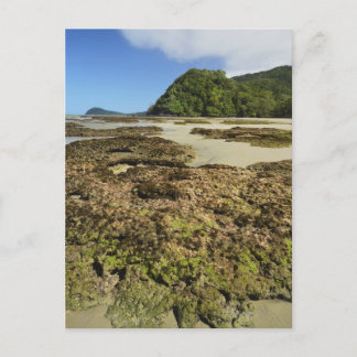 Emmagen Beach, Daintree National Park (UNESCO Postcard