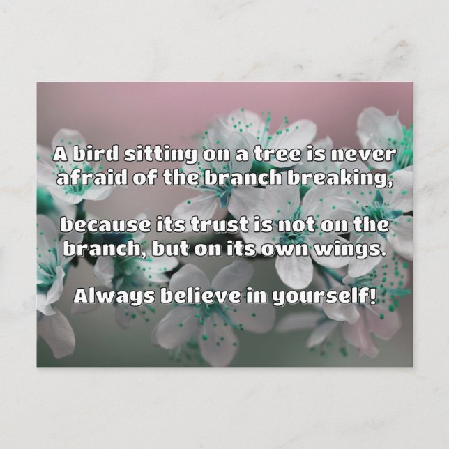 Empath Belief Positive Encouragement Quote  Postcard (Front)