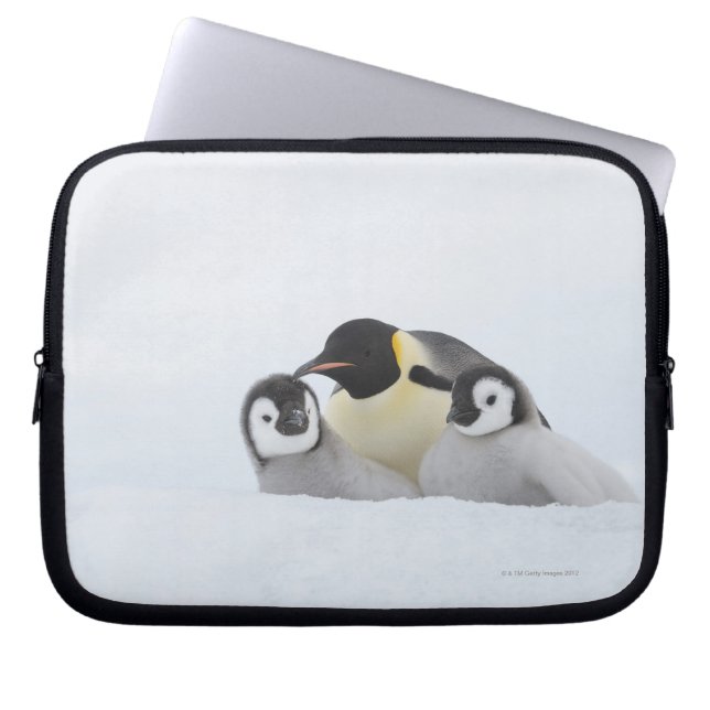 Emperor Penguin (Aptenodytes forsteri) 2 Laptop Sleeve (Front)