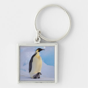 Emperor Penguin Aptenodytes Key Ring