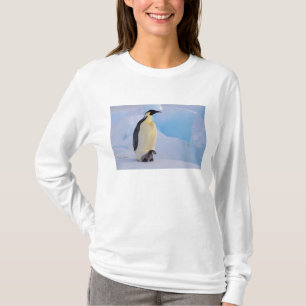 Emperor Penguin   Aptenodytes T-Shirt