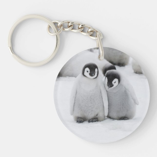 Emperor Penguin Chicks on Ice in Antarctica Key Ring (Front)