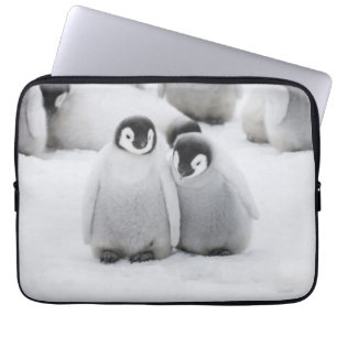 Emperor Penguin Chicks on Ice in Antarctica Laptop Sleeve