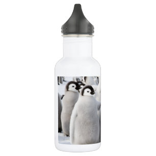 Emperor Penguin Chicks water bottle