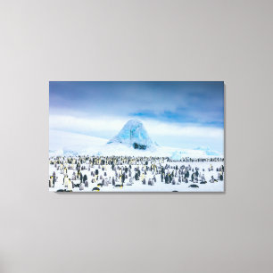 Emperor Penguin Colony Canvas Print