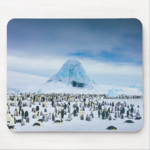 Emperor Penguin Colony Mouse Pad
