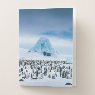 Emperor Penguin Colony Pocket Folder