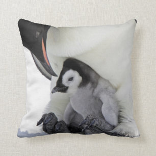 Emperor Penguin Snow Hill Island Cushion