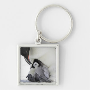 Emperor Penguin   Snow Hill Island Key Ring