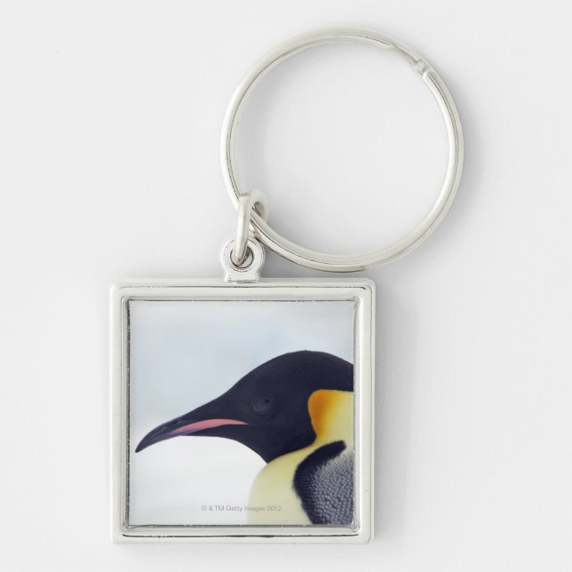 Emperor Penguin, Snow Hill Island Key Ring (Front)