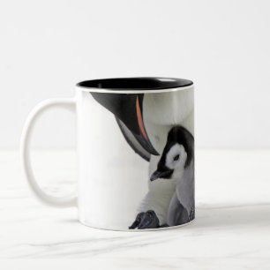 Emperor Penguin Snow Hill Island Two-Tone Coffee Mug