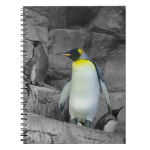 Emperor Penguin Spiral Notebook