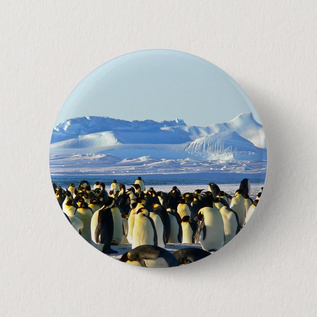 Emperor penguins 6 cm round badge (Front)
