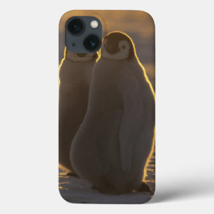 Emperor Penguins iPhone 13 Case