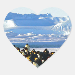 Emperor penguins heart sticker