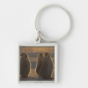 Emperor Penguins Key Ring