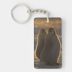 Emperor Penguins Key Ring