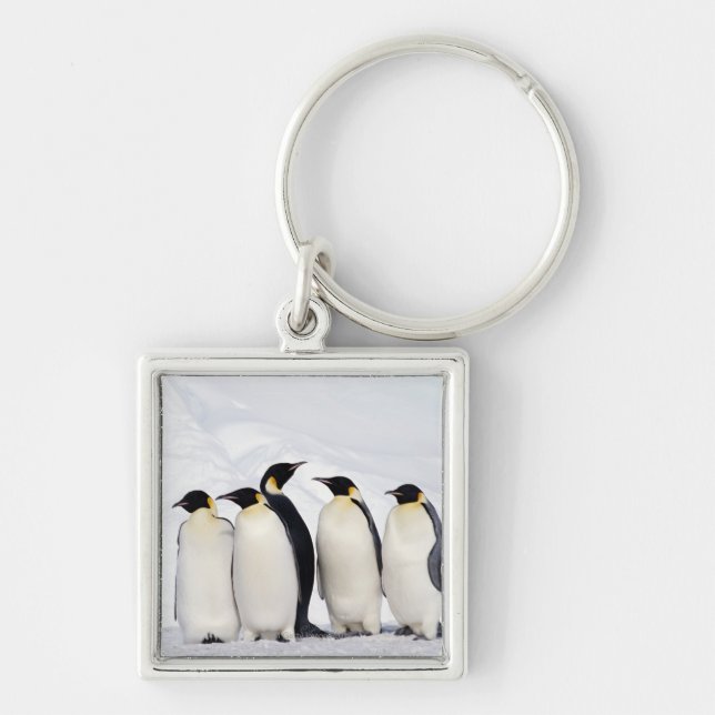Emperor Penguins Key Ring (Front)
