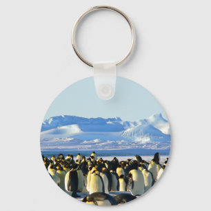 Emperor penguins key ring