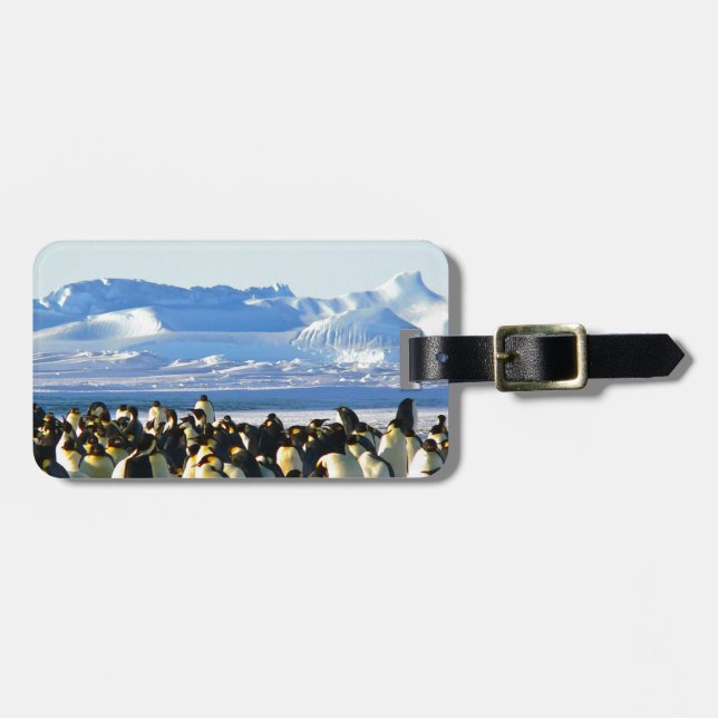 Emperor penguins luggage tag (Front Horizontal)