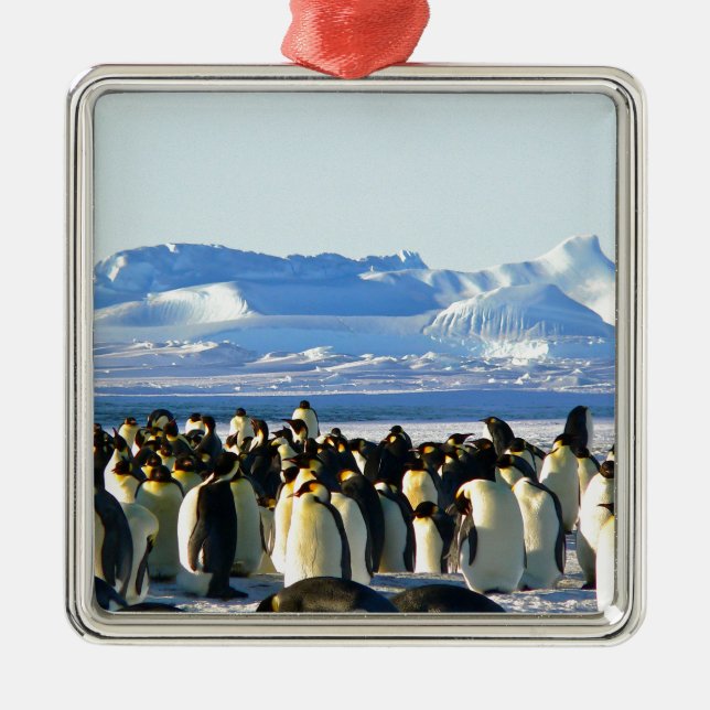 Emperor penguins metal tree decoration (Front)