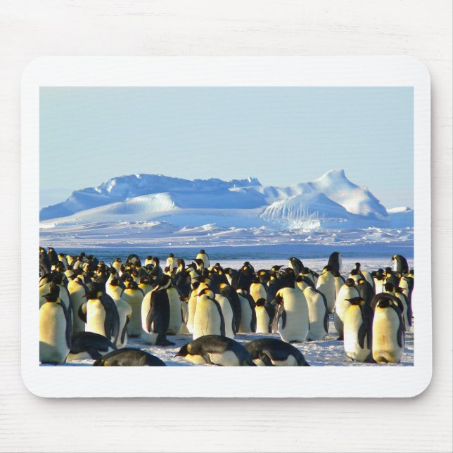 Emperor penguins mouse pad (Front)