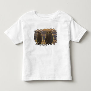 Emperor Penguins Toddler T-Shirt