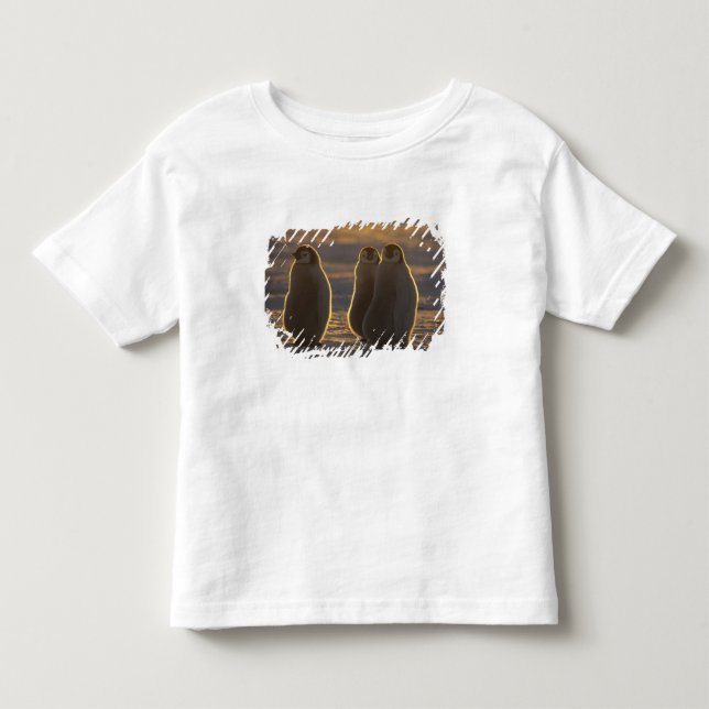 Emperor Penguins Toddler T-Shirt (Front)