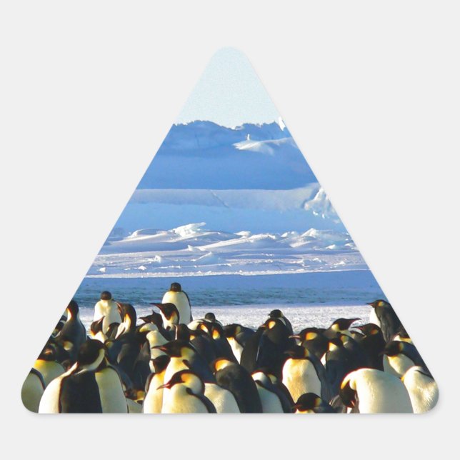 Emperor penguins triangle sticker (Front)