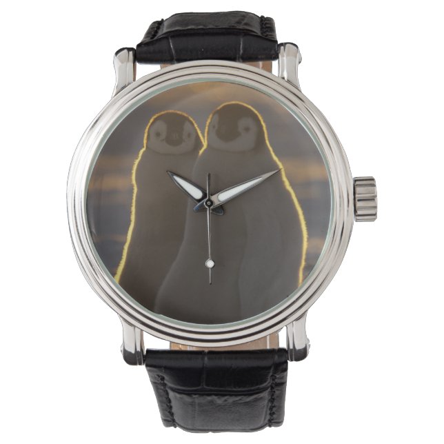 Emperor Penguins Watch (Front)