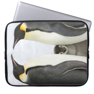 Emperor Penguins with Chick - laptop case