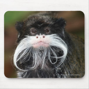 Emperor Tamarin Mouse Pad