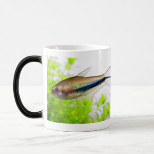 Emperor tetra magic mug